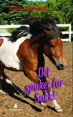 Det spøker for Sokki