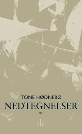 Nedtegnelser - dikt