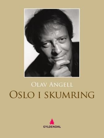 Oslo i skumring