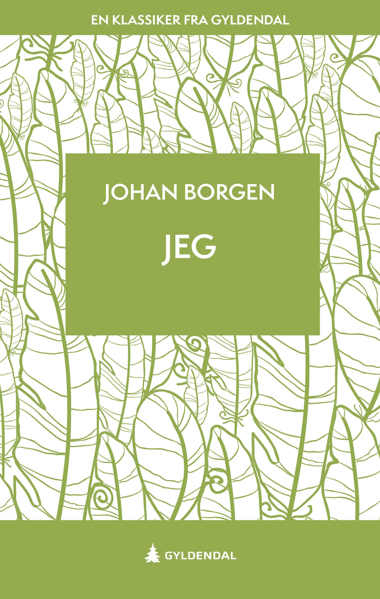 Jeg - roman