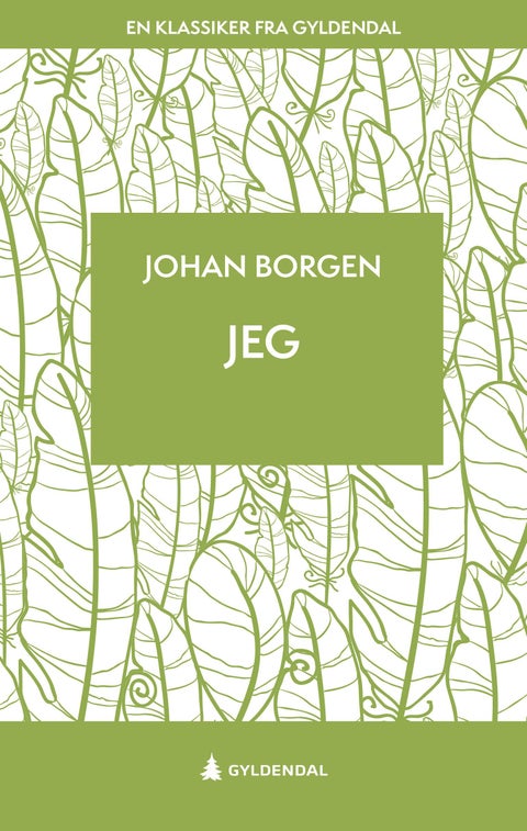 Jeg - roman