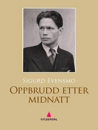 Oppbrudd etter midnatt - roman