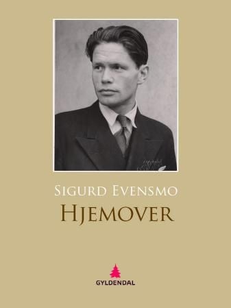 Hjemover - roman