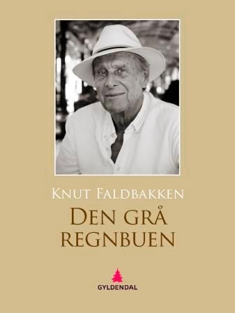 Den grå regnbuen - roman
