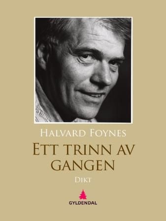 Ett trinn av gangen - dikt