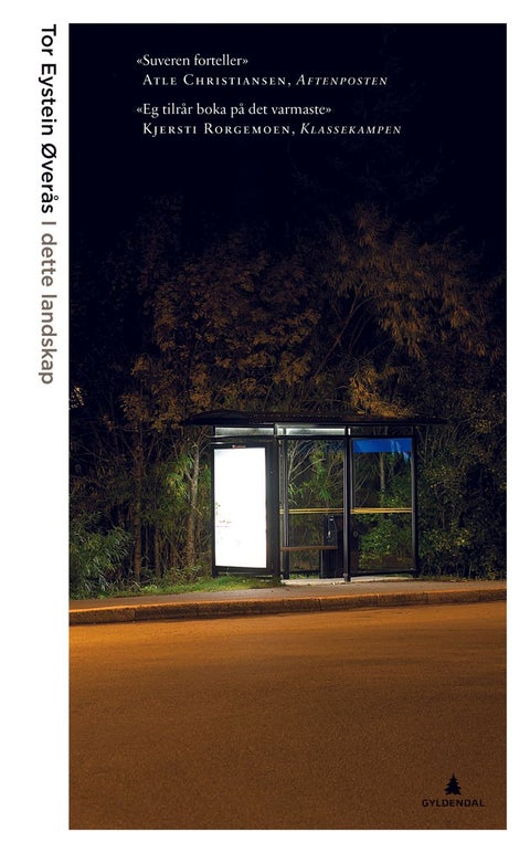 I dette landskap - artikler og essays