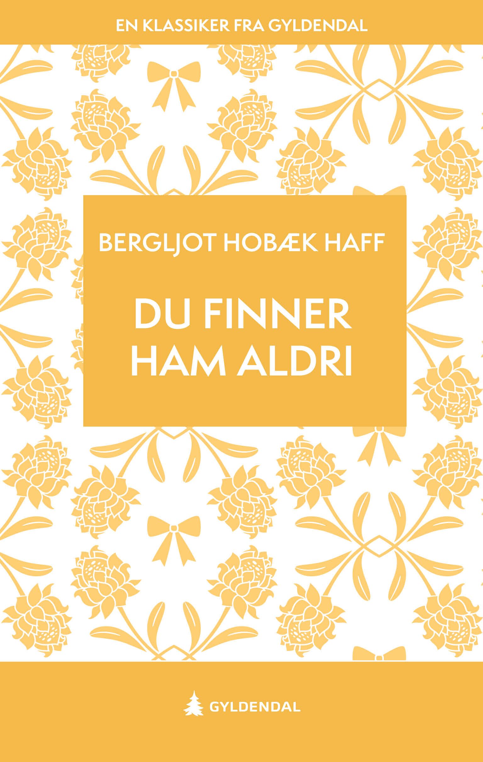 Du finner ham aldri - roman