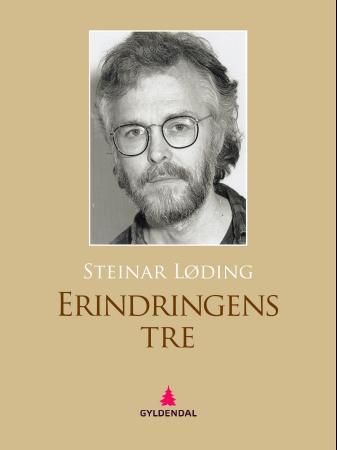 Erindringens tre - roman