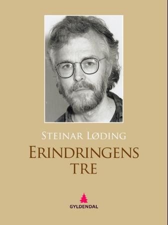 Erindringens tre - roman