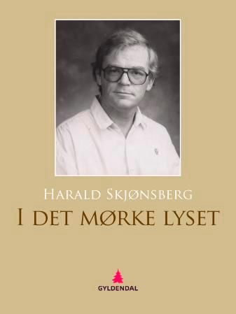 I det mørke lyset - roman