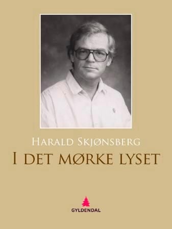 I det mørke lyset - roman