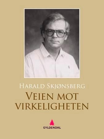 Veien mot virkeligheten - roman