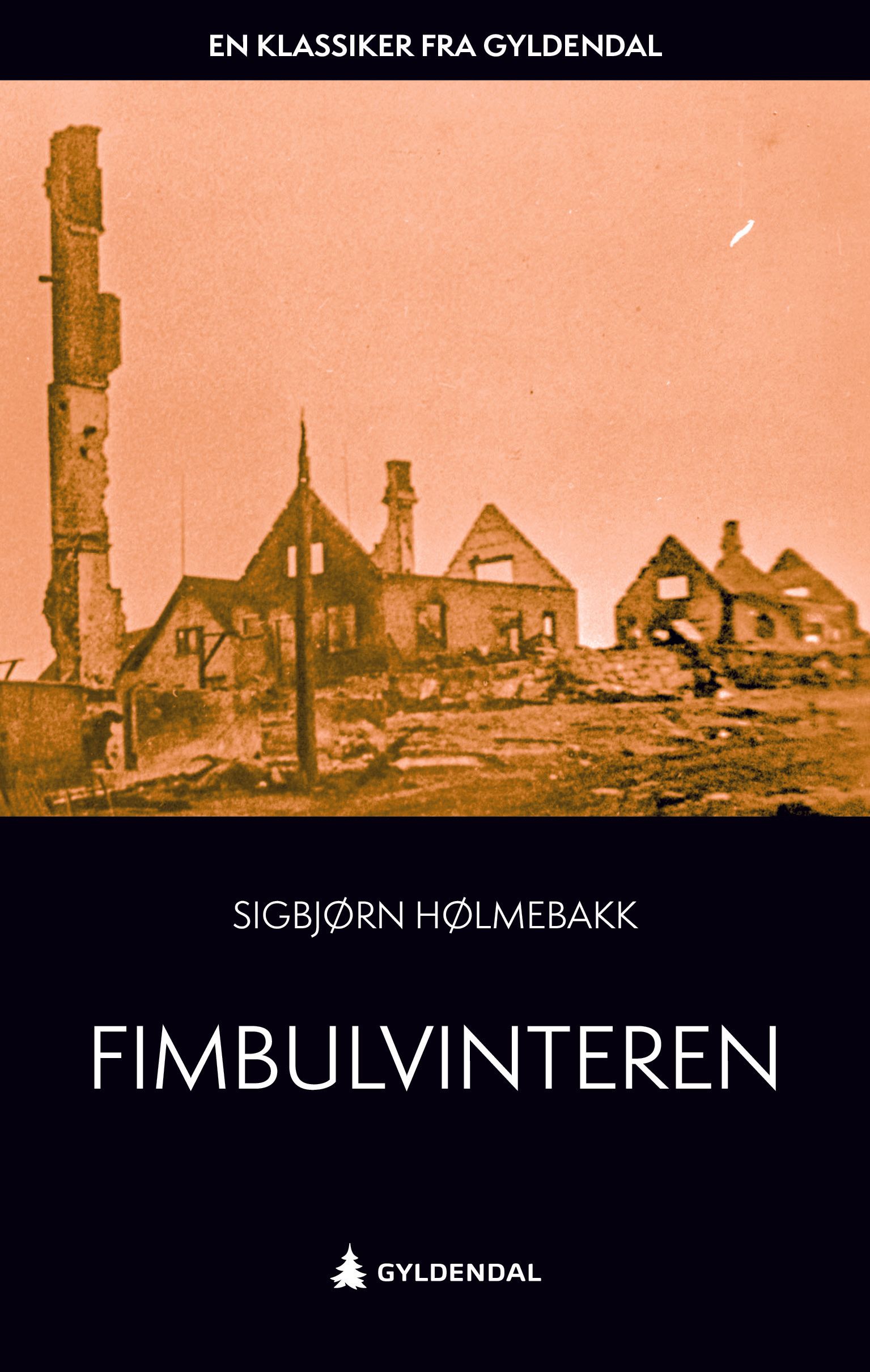 Fimbulvinteren - roman