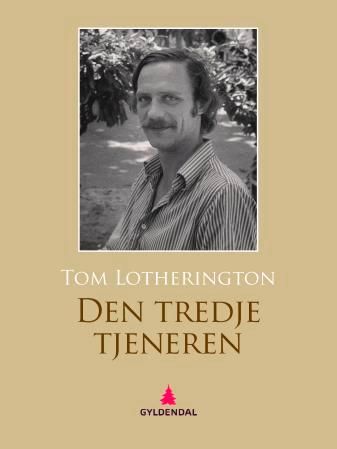 Den tredje tjeneren - roman