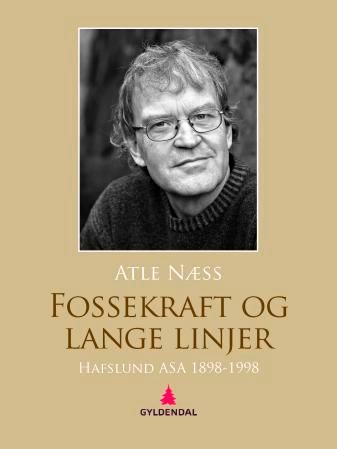 Fossekraft og lange linjer - Hafslund ASA 1898-1998 : en fortelling om kraft, mennesker og kapital gjennom hundre år