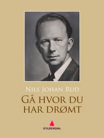 Gå hvor du har drømt - roman