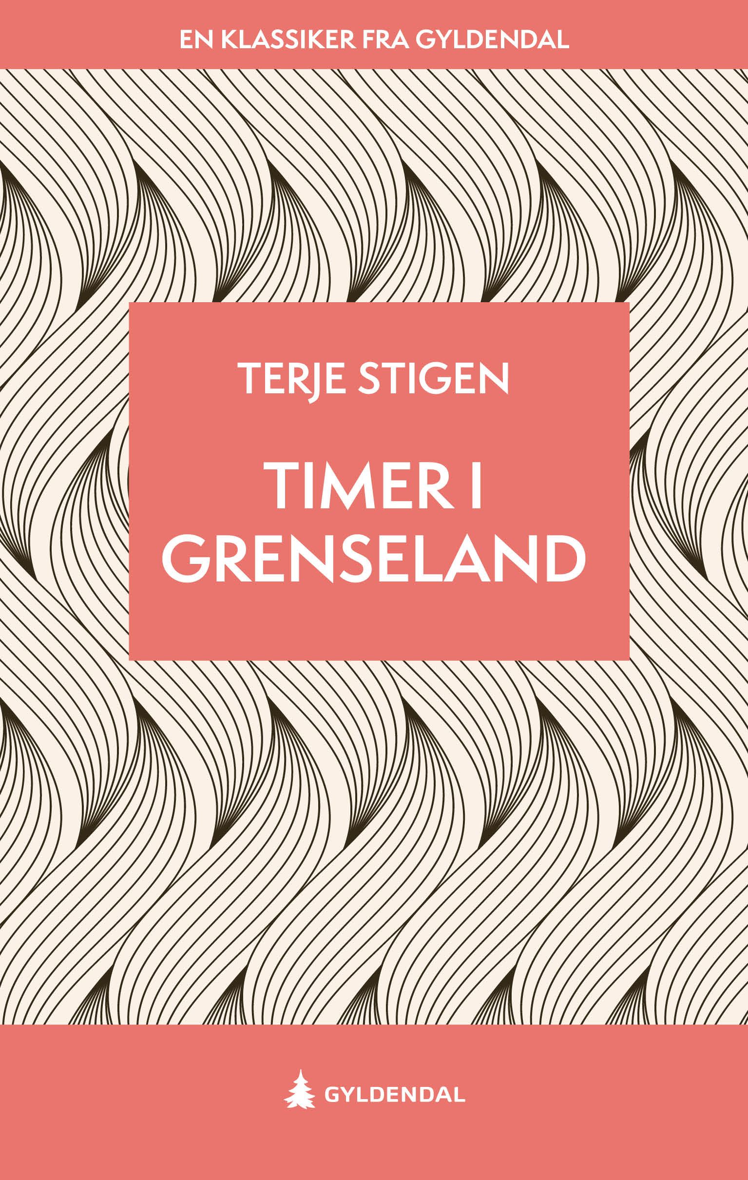 Timer i grenseland - roman