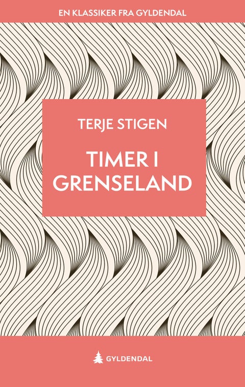 Timer i grenseland - roman