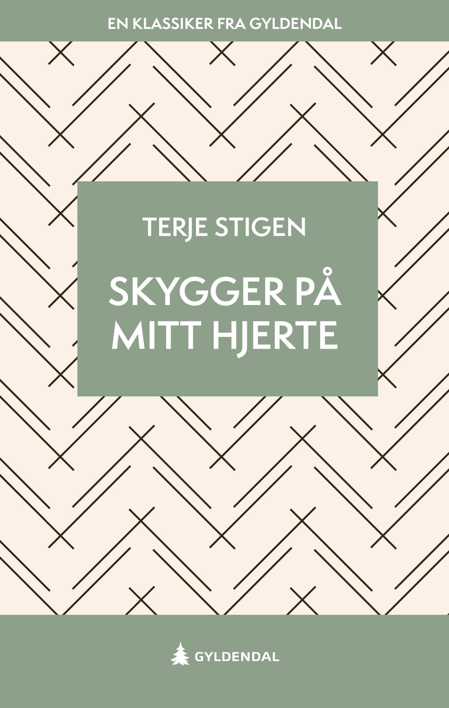 Skygger på mitt hjerte - roman