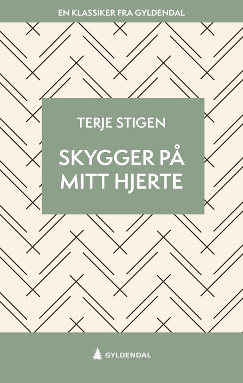 Skygger på mitt hjerte - roman
