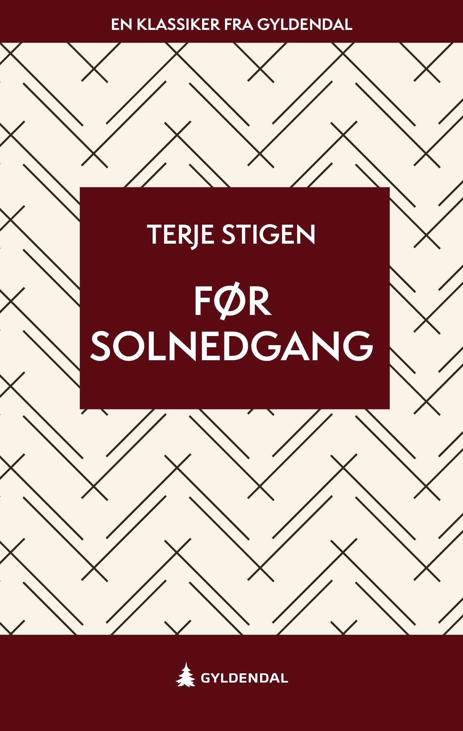 Før solnedgang - roman