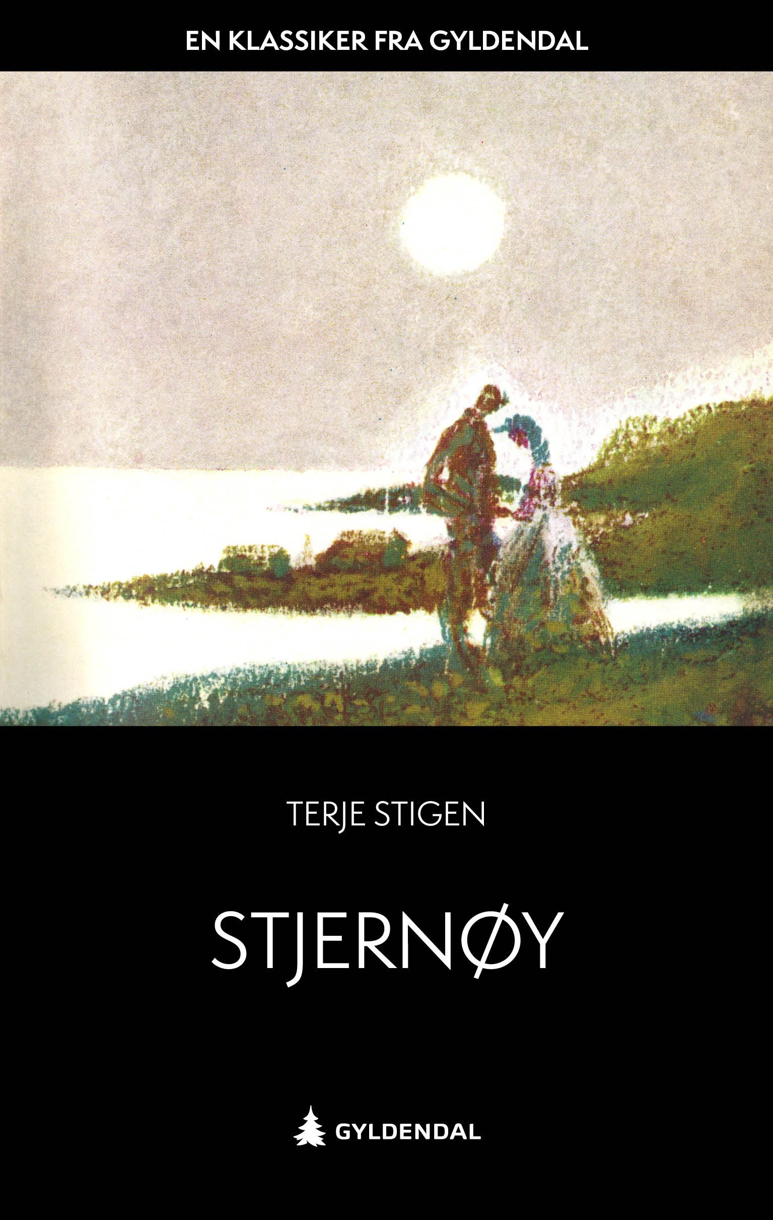 Stjernøy - roman