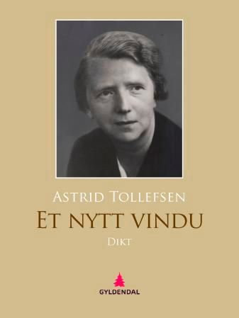 Et nytt vindu - dikt