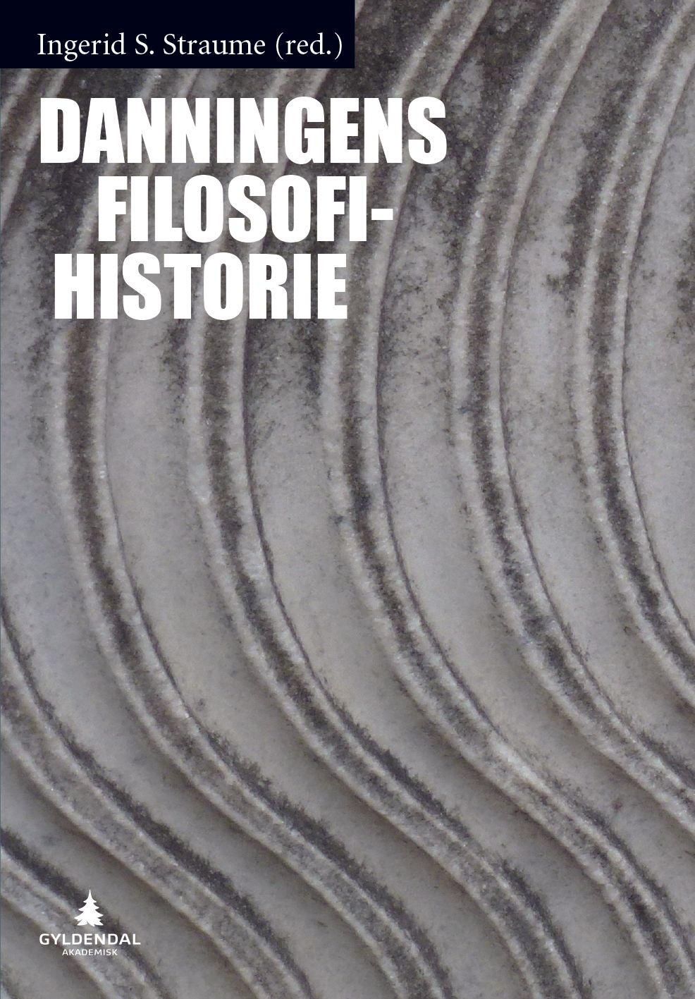 Danningens filosofihistorie