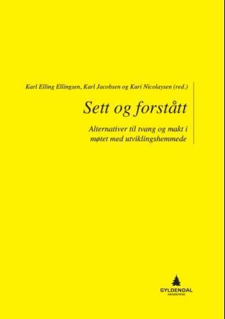 Sett og forstått - alternativer til tvang og makt i møtet med utviklingshemmede