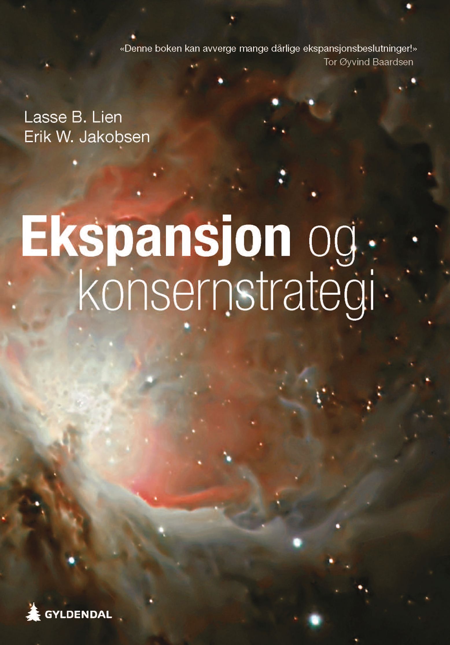 Ekspansjon og konsernstrategi