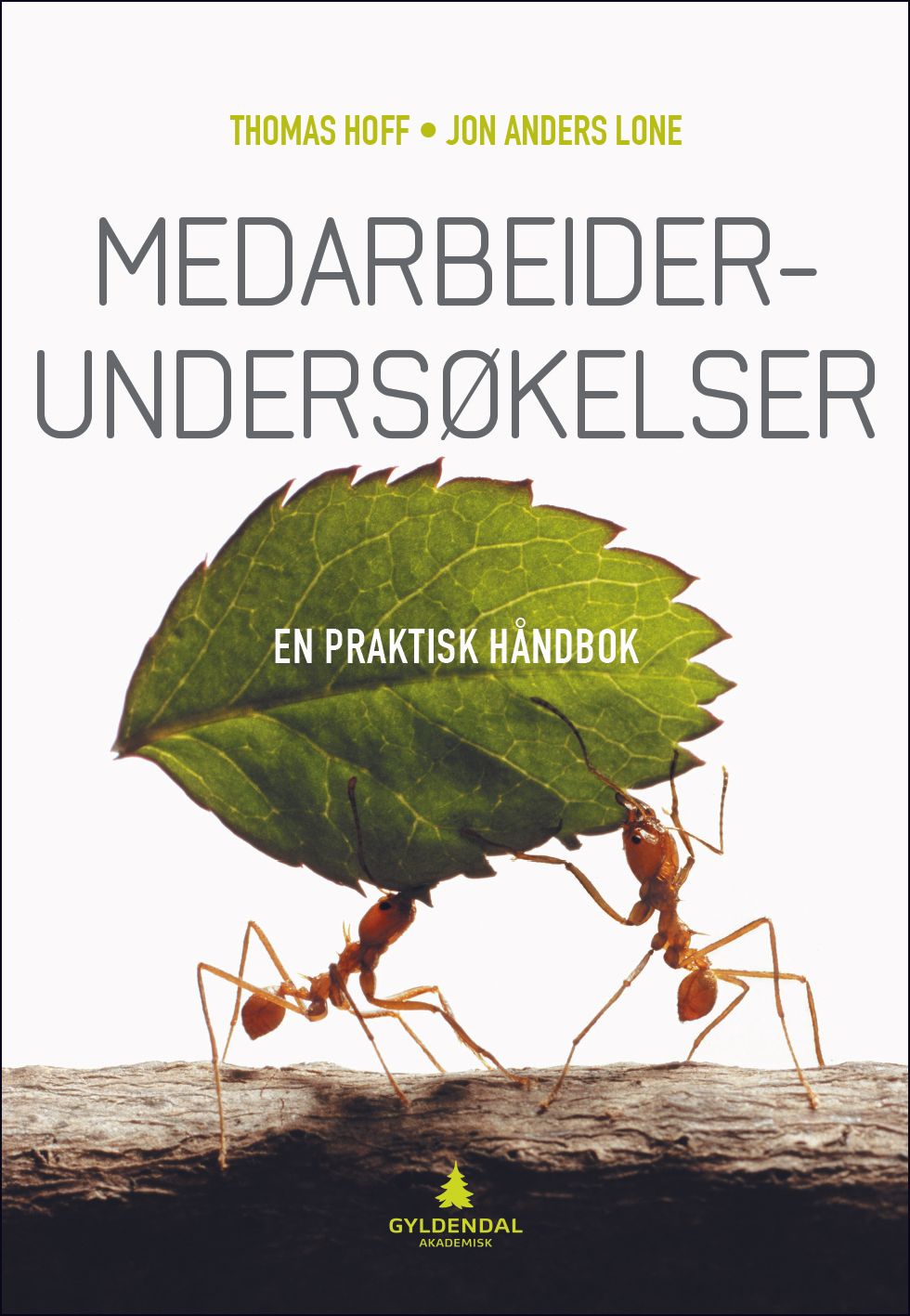 Medarbeiderundersøkelser - en praktisk håndbok