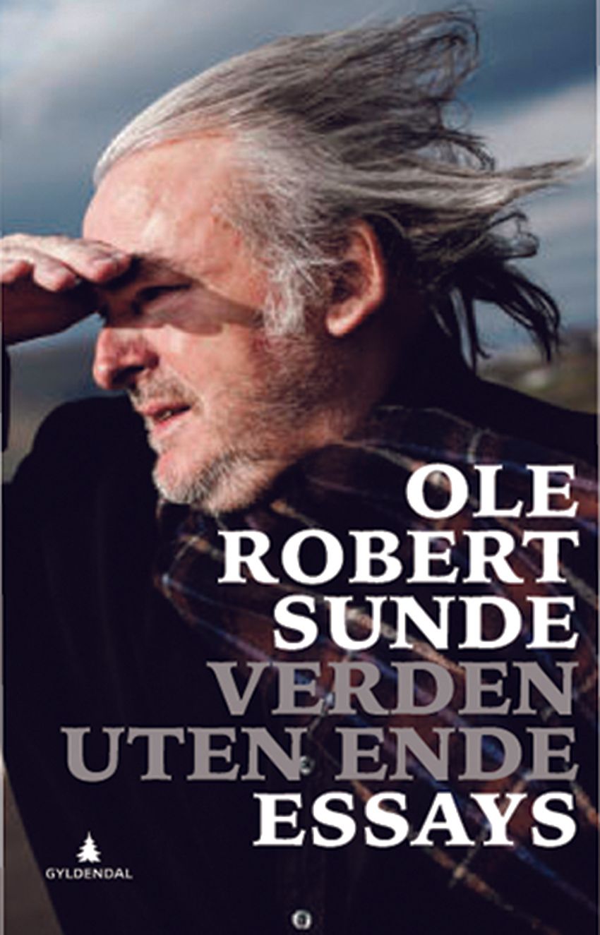 Verden uten ende - essays