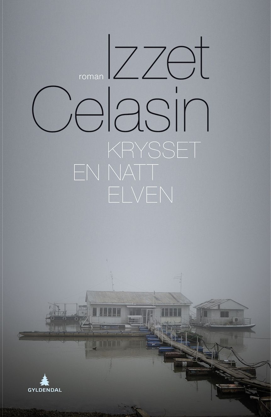 Krysset en natt elven - roman