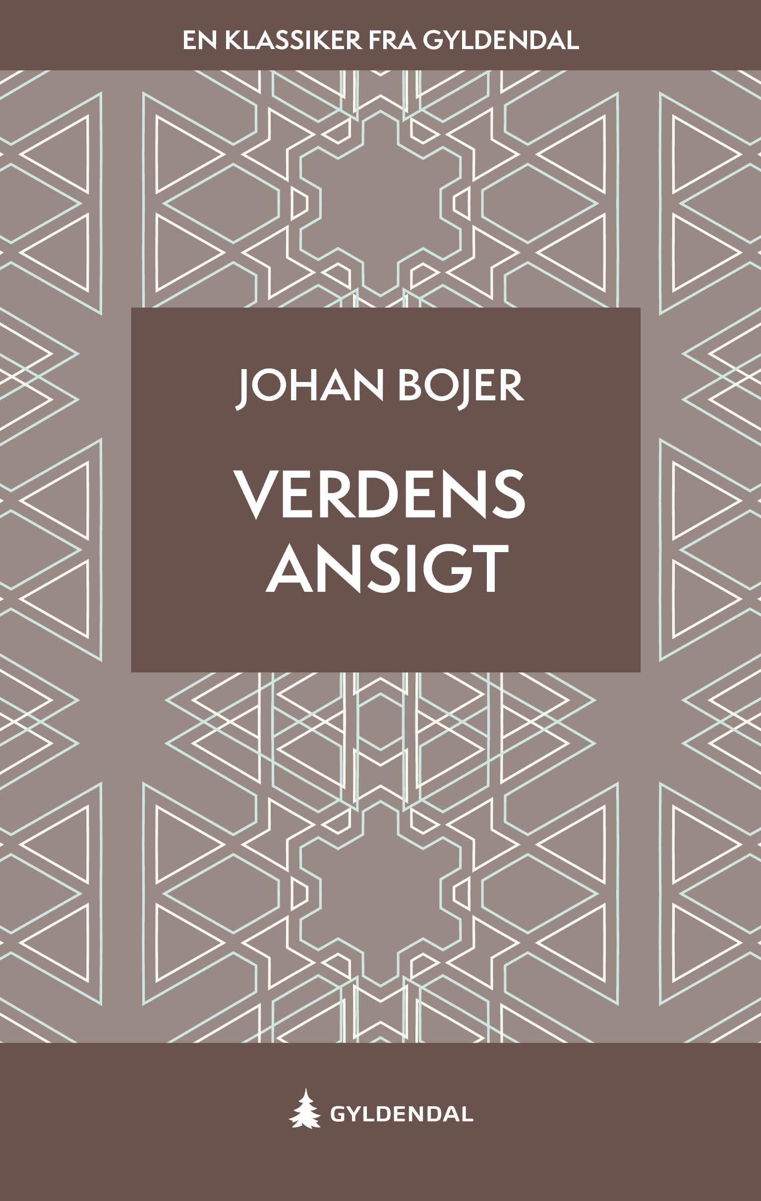 Verdens ansigt - roman