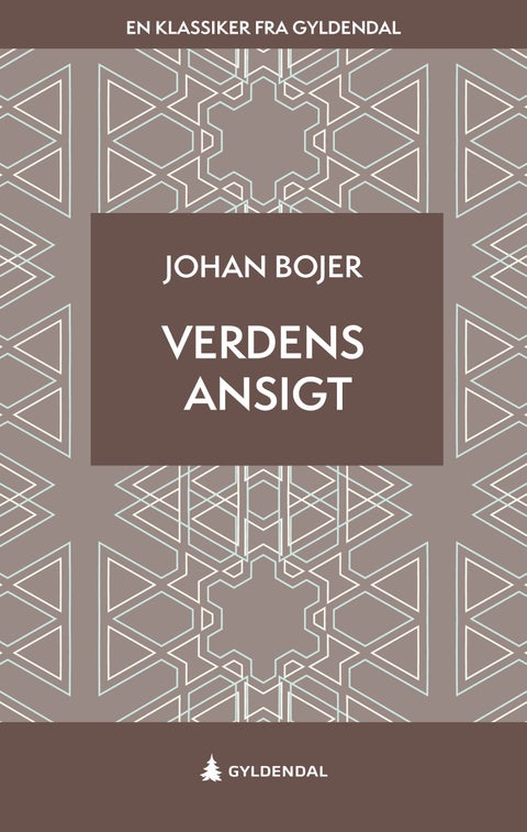 Verdens ansigt - roman