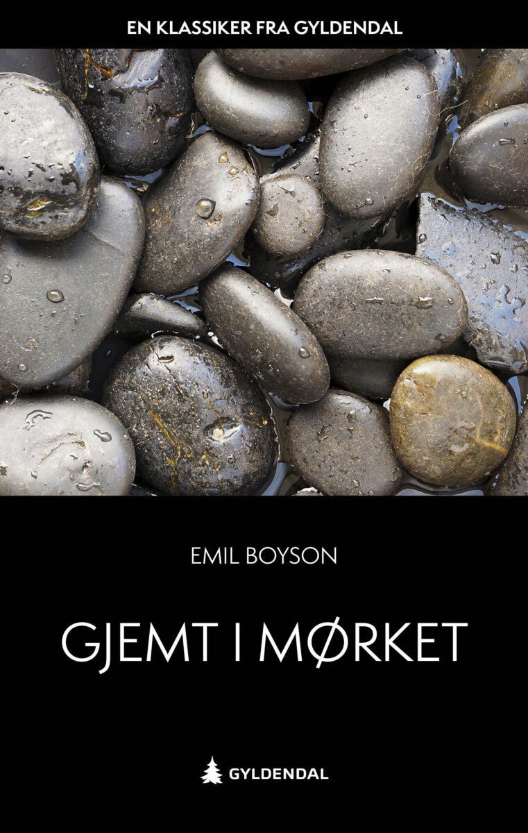 Gjemt i mørket