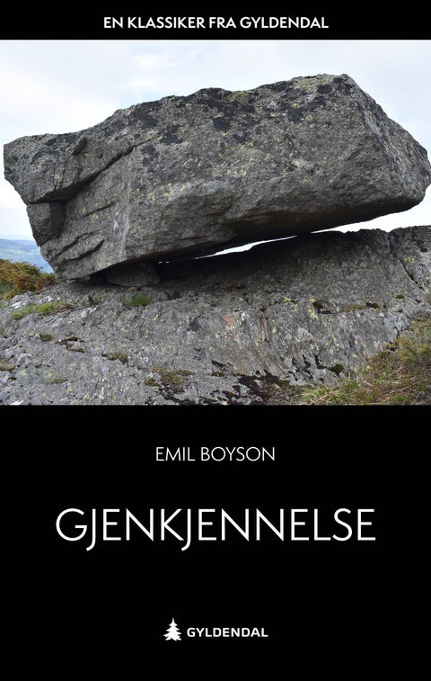 Gjenkjennelse - dikt