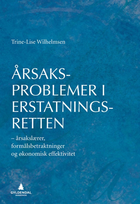 Årsaksproblemer i erstatningsretten - årsakslærer, formålsbetraktninger og økonomisk effektivitet