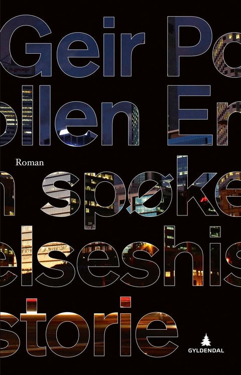 En spøkelseshistorie - roman