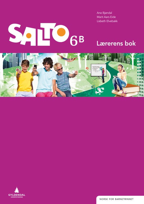 Salto 6 - Lærerens bok B