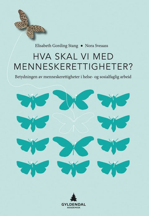 Hva skal vi med menneskerettigheter? - betydningen av menneskerettigheter i helse- og sosialfaglig arbeid