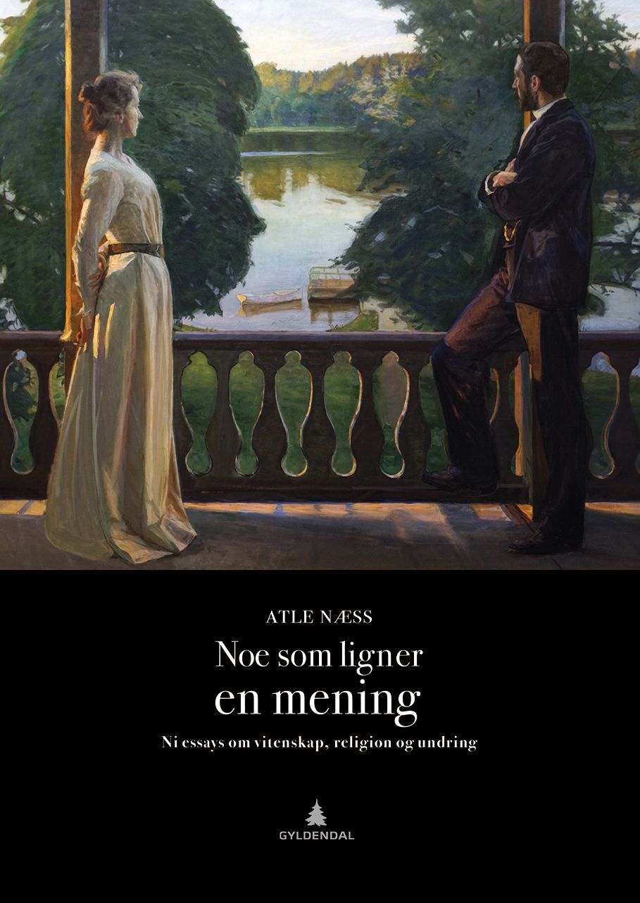 Noe som ligner en mening - ni essays om vitenskap, religion og undring