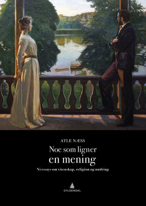 Noe som ligner en mening - ni essays om vitenskap, religion og undring