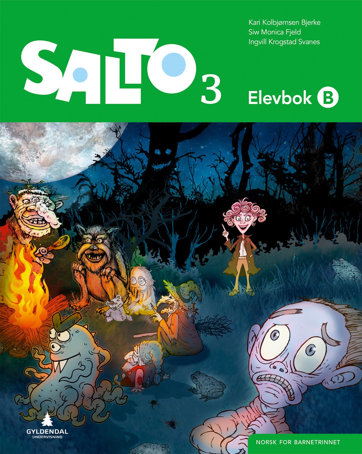 Salto 3 - Elevbok B : norsk for barnetrinnet