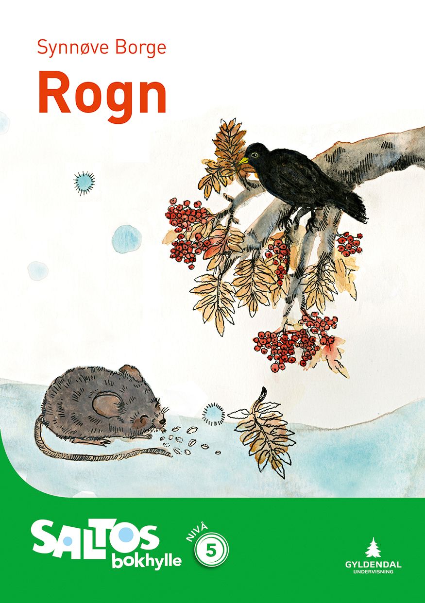 Rogn - nivå 5