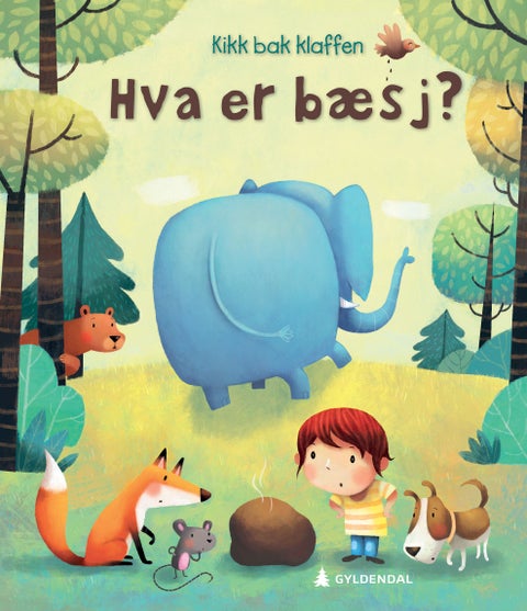 Hva er bæsj?
