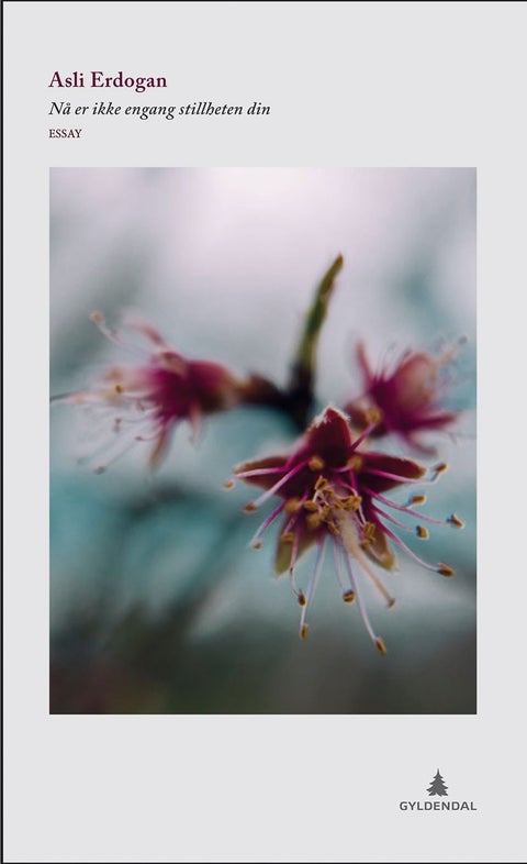 Nå er ikke engang stillheten din