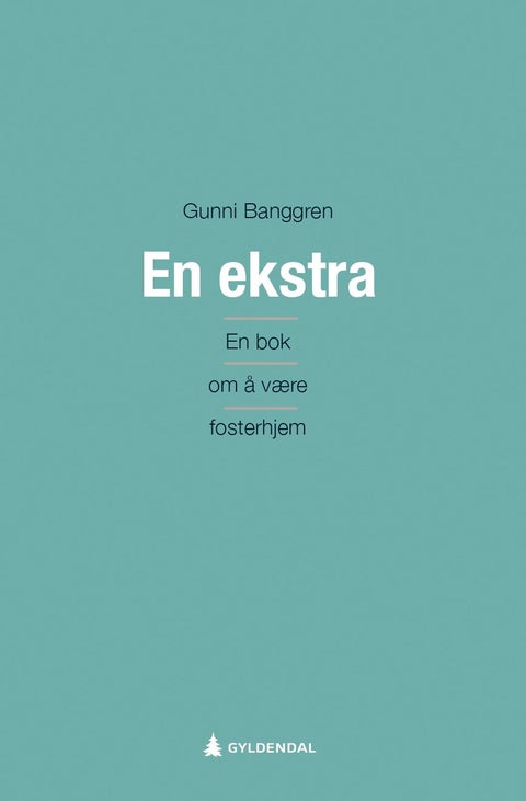 En ekstra - en bok om å være fosterhjem