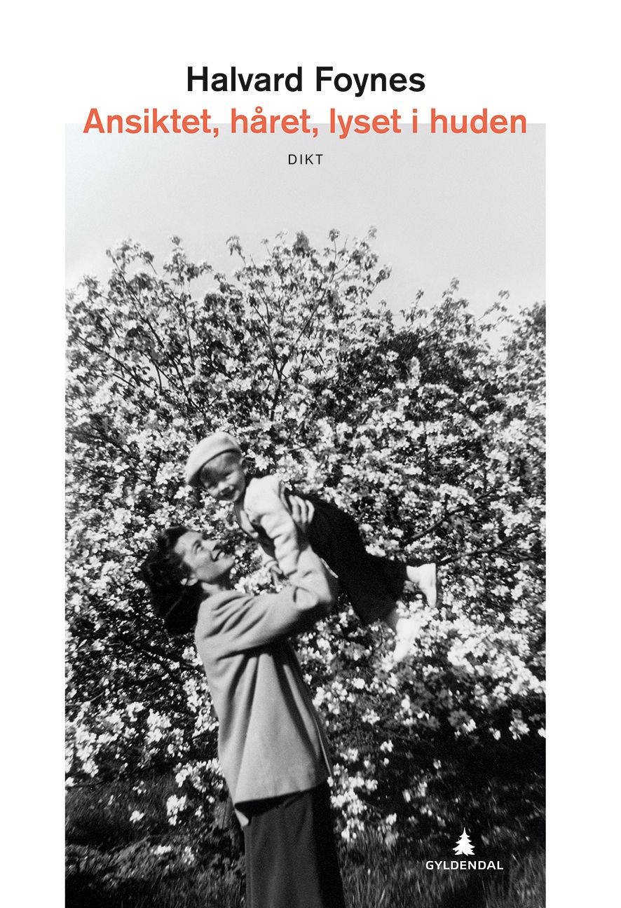 Ansiktet, håret, lyset i huden - dikt