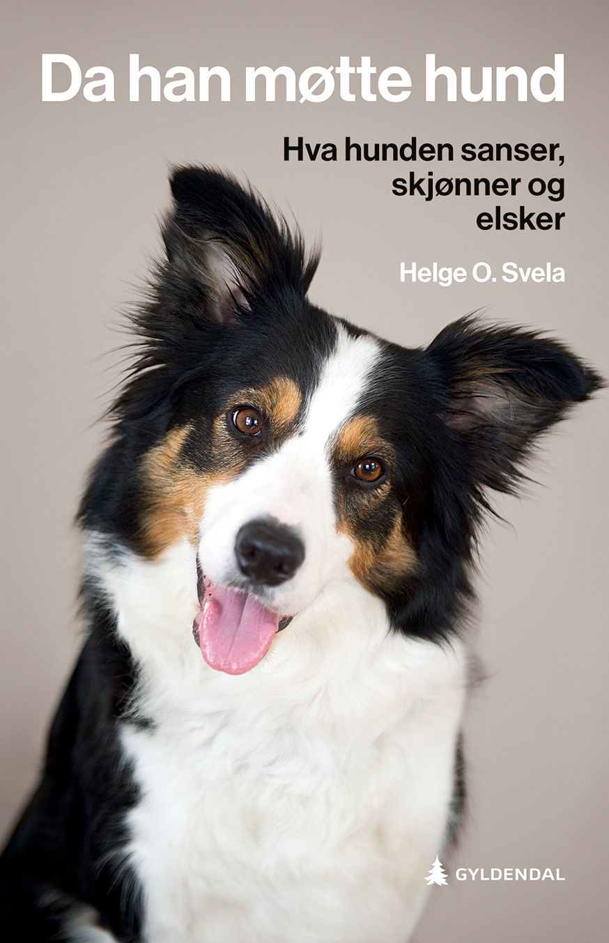 Da han møtte hund - hva hunden sanser, skjønner og elsker